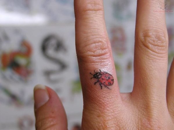 Ladybug Tattoo