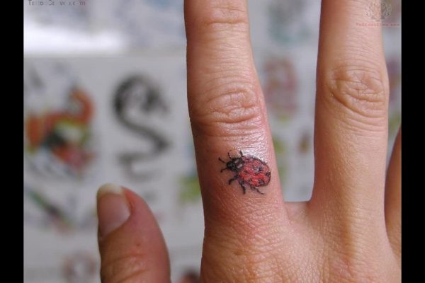 Ladybug Tattoo