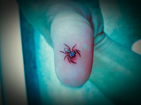 Spider Tattoo On Thumb