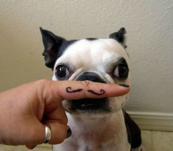 Dog With Fingerstache Tattoo